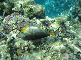 Similar image 144742