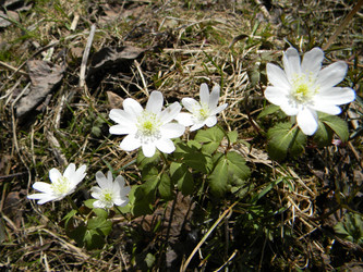 Similar image 144744