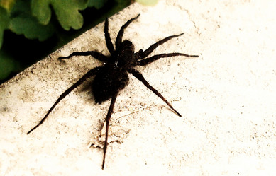 Similar image 144755