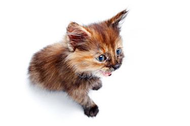 Similar image 144758