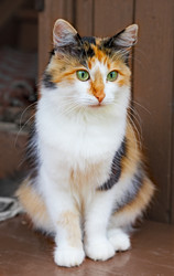 Similar image 144765