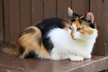 Similar image 144766