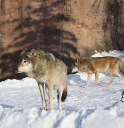 Similar image 144773