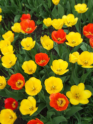 Similar image 144827