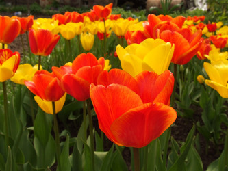 Similar image 144828