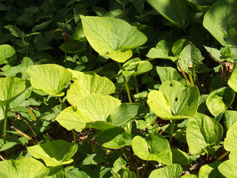 Similar image 144829