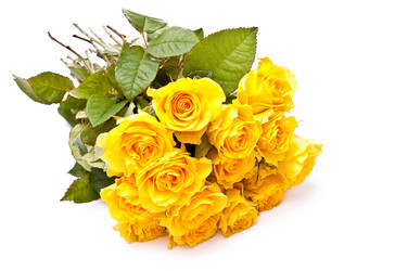 Similar image 144852