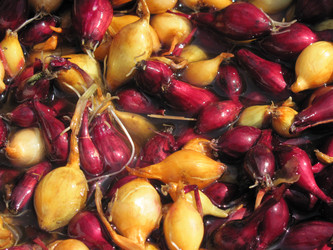 Similar image 144869