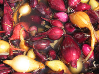 Similar image 144870