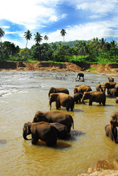 Similar image 144871