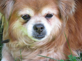 Similar image 144873