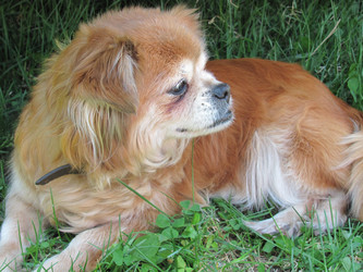 Similar image 144875