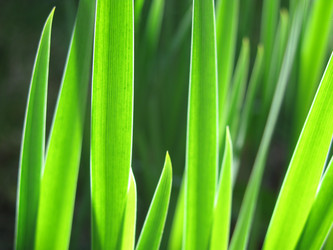 Similar image 144881