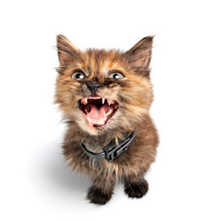 Similar image 144886