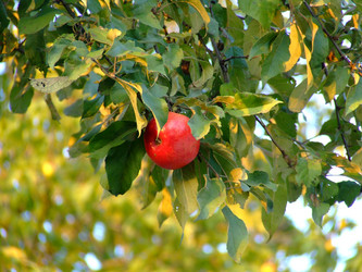 Similar image 144936