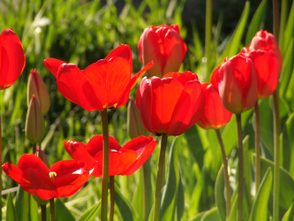 Similar image 144941