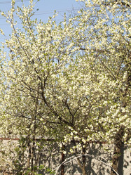 Similar image 144944