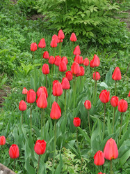 Similar image 144946