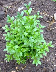 Similar image 144949