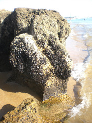 Similar image 144950