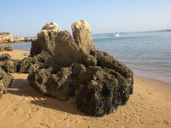 Similar image 144951