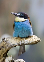 Similar image 144957