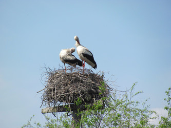 Similar image 144958