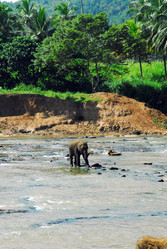 Similar image 144963