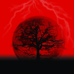 Similar image 144964