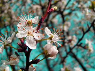 Similar image 144968