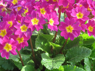 Similar image 144991