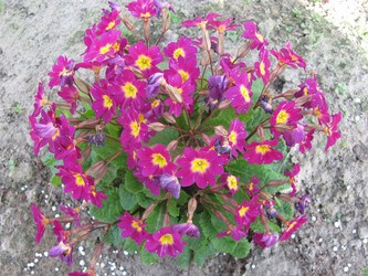 Similar image 144992