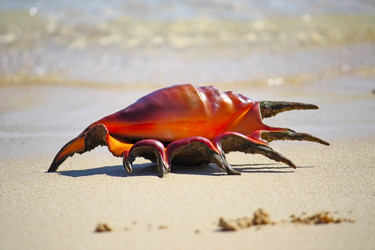 Similar image 145006