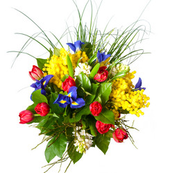 Similar image 145043