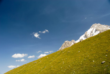 Similar image 145047