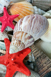 Similar image 145050