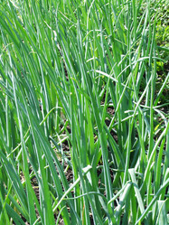 Similar image 145057