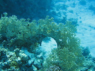 Similar image 145064