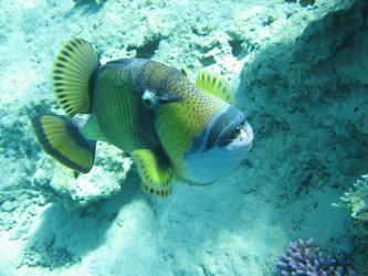 Similar image 145065