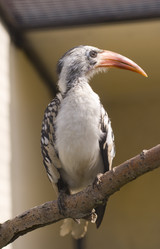 Similar image 145066