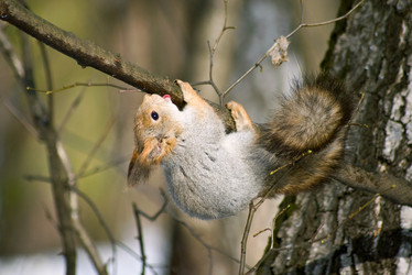 Similar image 145070