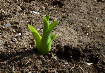 Similar image 145076