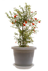 Similar image 145081