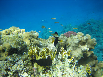 Similar image 145087