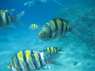 Similar image 145089