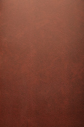 Similar image 145090