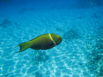 Similar image 145091