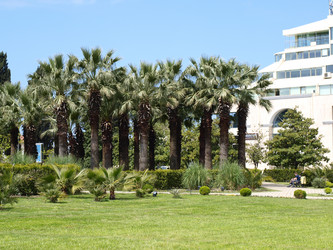 Similar image 145108