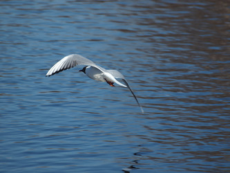 Similar image 145122