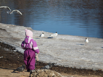 Similar image 145124